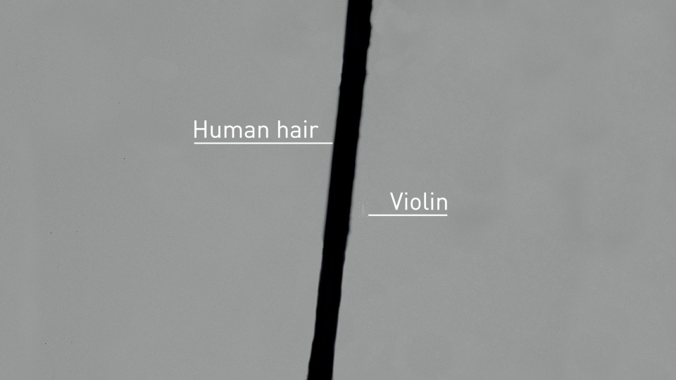 Images of the violin alongside a human hair were captured using a Keyence VHX-7000N Digital Microscope.